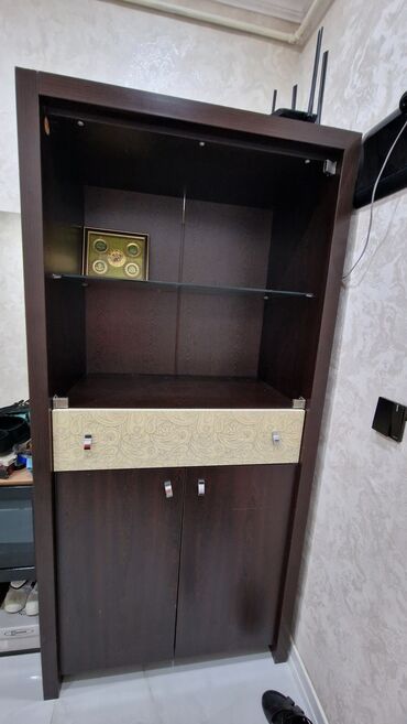 Ev üçün mebel: Açılan, 2 qapılı Düz dolab