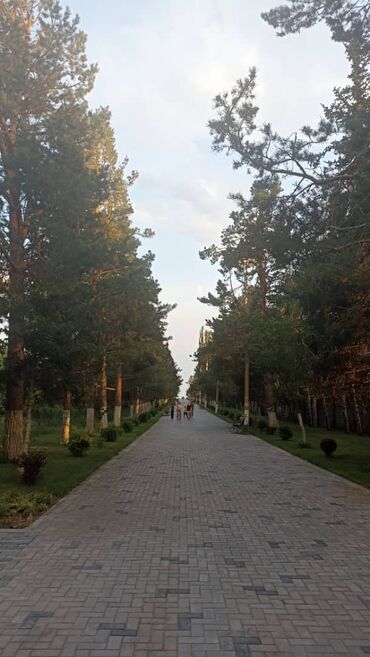2 х спальное постельное белье: Номер, | Дилором, Кара-Ой (Долинка), Балдар аянтчасы, Унаа токтотуучу жай, унаа туруучу жай, Коргоодогу аймак
