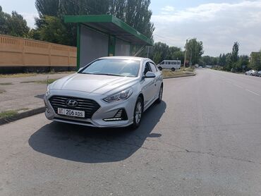 соната 2017 цена: Hyundai Sonata: 2019 г., 2 л, Типтроник, Газ, Седан