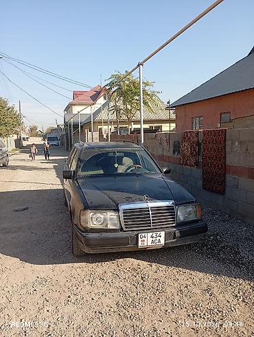 решетка на 124: Mercedes-Benz W124: 1992 г., 2.3 л, Автомат — 1