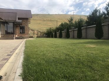моторная коса: Сеем газон! Посев газона Косим газон Травим сорняков at lalafo.kg моторная коса: Сеем газон! Посев газона Косим газон Травим сорняков