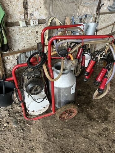 срочно продаю в связи с переездом: Передвижной доильный аппарат для коров. - Тележка на колёсах с