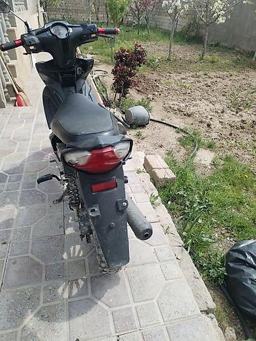 paneler: Barter var ÖZ DƏYƏRİNDƏ XİRDA BUYNUZLU HEYVANLAVA DİGƏR MARAGLİ — 6