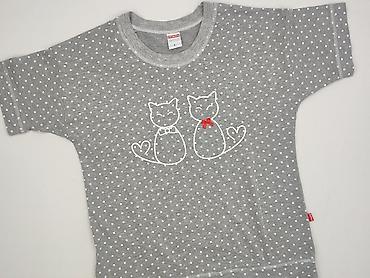 kotki: T-shirt damski, rozmiar L — 1
