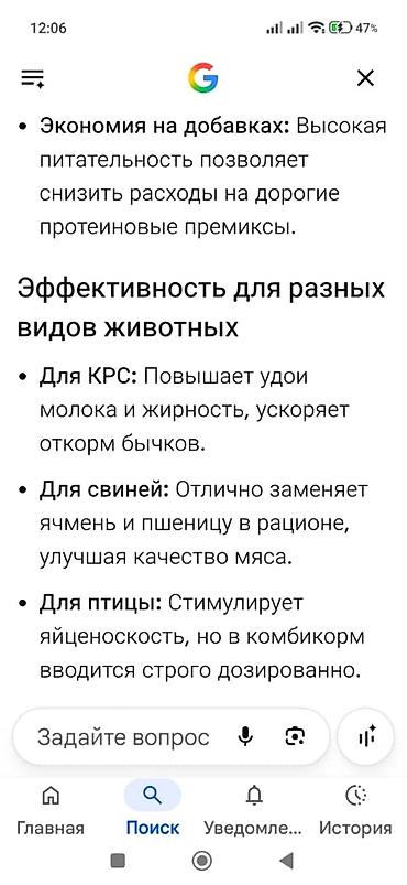 рай понел: Продаю пшеницу Тритикале - 720 кг — 2