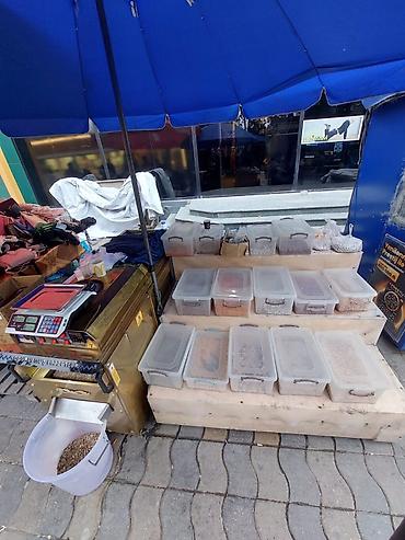 Restoran, kafe avadanlığı: Hazır biznes nefçilər metrosunun 3 cü cıxışı Qovrulmuş ləzzətlər üçün — 4