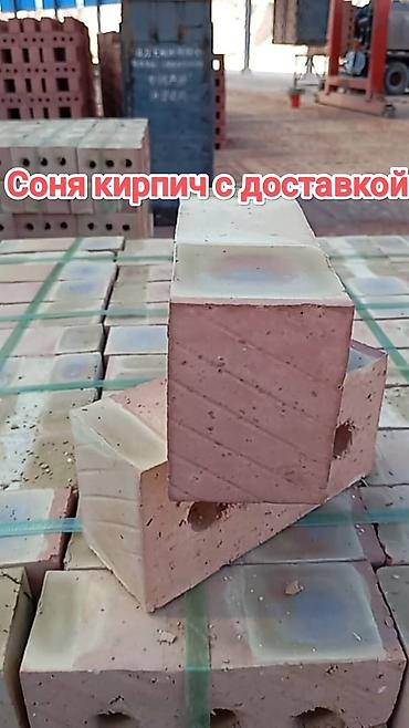 Пустотелый, дырчатый, Жженый кирпич, Полублок, 250×120×90