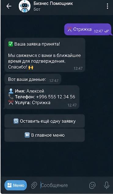 iphone e: Telegram-боты для бизнеса Что делаем: - Создание и настройка — 3