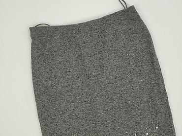 house jamnik: Spódnica damska, rozmiar XL — 1