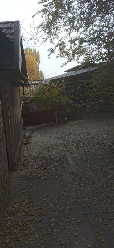 Продажа домов: Времянка, 35 м², 3 комнаты, Собственник, Старый ремонт — 8