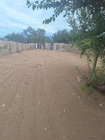 Torpaq sahələrinin satışı: 6 sot, Kupça (Çıxarış) — 12