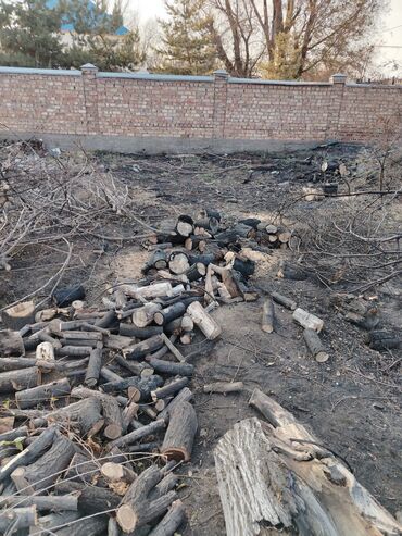 Дрова: Дрова — 6