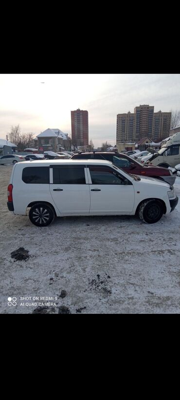 рас продуктов: Toyota Probox: 2003 г., 1.5 л, Автомат, Бензин, Универсал