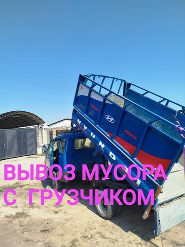 сколько стоит кролик домашний: Вывоз мусора вывоз мусора вывоз мусора вывоз мусора вывоз мусора