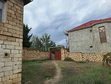 bakıda: 1100 sot, Tikinti, Bələdiyyə — 1