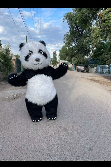 Организация мероприятий: Организация мероприятий | Оформление мероприятий — 3