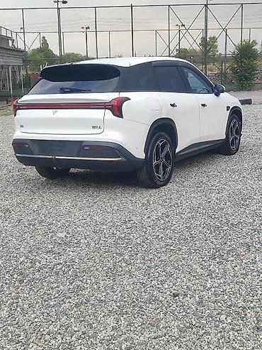 byd e1: Neta L 310 Состояние ТЕКЕ Электрический кроссовер (белый цвет кузова) — 5