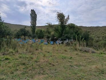 Продажа домов: Дом, 60 м², 4 комнаты, Собственник, Косметический ремонт — 18