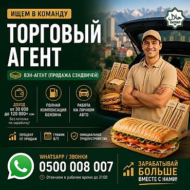 Требуется Торговый агент, График: Шестидневка, Менее года опыта, Официальное трудоустройство, Подработка