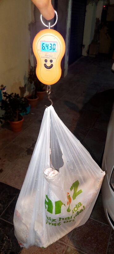 Digər quşlar: Allah herkesin xeyrini versin. Gördüyünüz oz qapinin hinduwkalarindan — 6