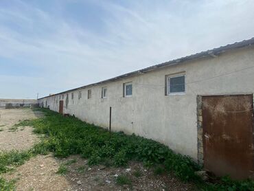 Kommersiya daşınmaz əmlakının satışı: FERMA satılır Pirəkəşkül qəsəbəsində — 9