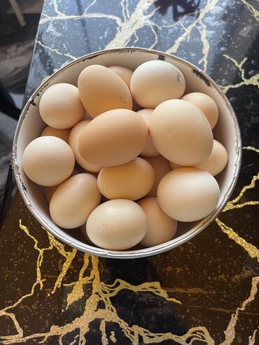 Яйца: Temiz kend yumurtasidir biri 30 qepik mastaga istenilen unvana