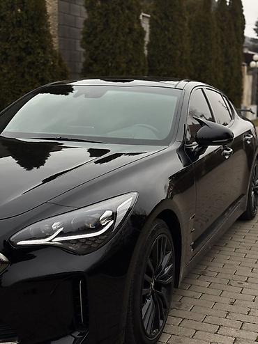 для химчистки салона: Kia Stinger: 2019 г., 2 л, Автомат, Бензин, Фастбек — 6