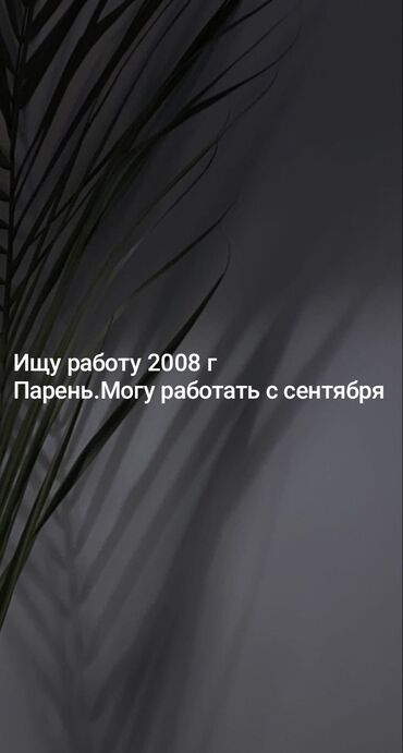 технолог швейного производства вакансии: Ищу работу я 2008 года парень.Ищу работу в городе Кант.Могу начать at lalafo.kg технолог швейного производства вакансии: Ищу работу я 2008 года парень.Ищу работу в городе Кант.Могу начать