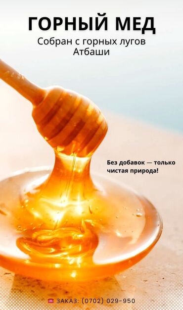 облепиховые свечи цена в бишкеке: Ат-Башинский горный мед, натуральный продукт, не содержит добавок