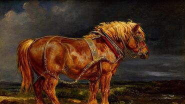 картина живопись: Живопись, картинка конь, 
очень хорошем состоянии
картинка в рамке