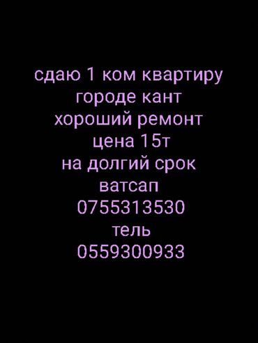 Долгосрочная аренда квартир: 1 комната, Собственник, Без подселения, С мебелью частично