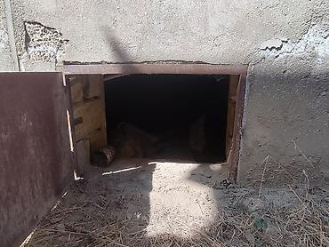 Həyət evləri və villaların satışı: Həyət evi satılır. Ev Saray qəsəbəsində yerləşir — 13