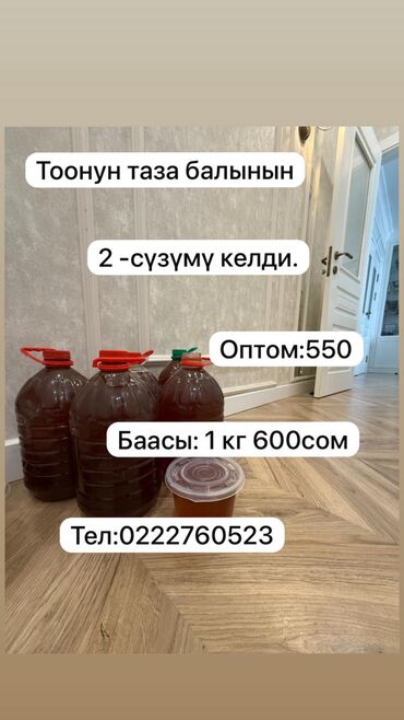малина кг цена бишкек: Тоонун таза балы 1,2 сүзүмү тең бар. Бал челектер Кара- кулжада