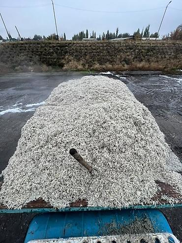 Айыл-чарба жаныбарлары: Жом (свекловичный жом) — свежий, сочный, рассыпчатый. Отличный корм — 2
