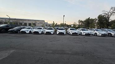 левин: Toyota Corolla: 2023 г., 1.8 л, Вариатор, Гибрид, Седан — 2