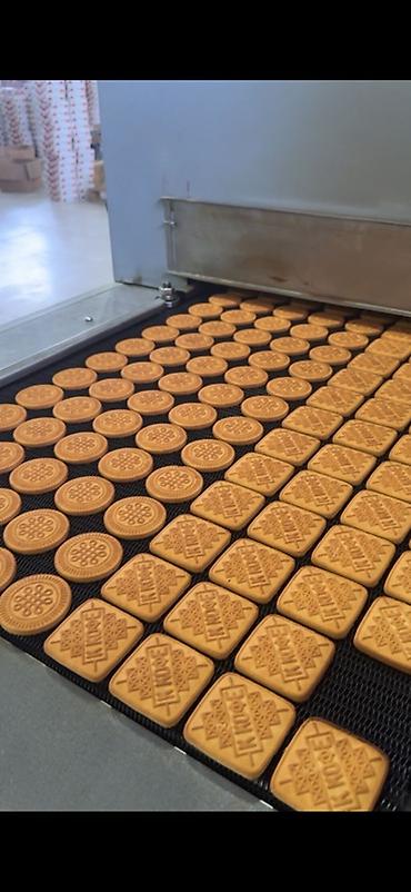 Производство кондитерских изделий: Туннельная печь для выпечки печенья/кондитерских изделий Описание: - — 9