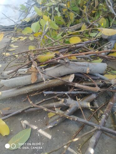 дрова продаю: Дрова