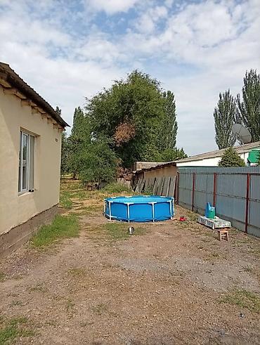 кафе ош: Срочно продаётся дом за 50 000$. Адрес: город Кара балта Панфиловский — 2