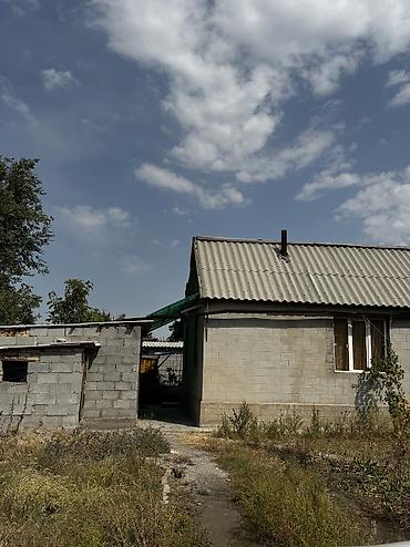 девушки талас: Сдается дом на даче для жилья адрес Новопокровка Ысык атинский район — 6