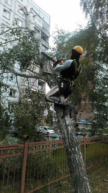 вешалка из дерева: ✅ Спил деревьев, удаление . Безопасно и быстро! 🌳 Профессиональные