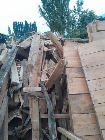 шабыркул угол: Дрова Самовывоз