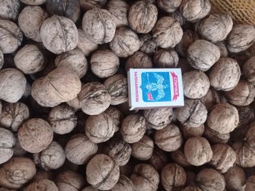 грецкий орех в кыргызстане: Грецкий орех,скорлупа нежный