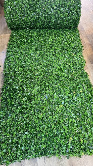 Bağ və bostan üçün digər məhsullar: 19 man baslayan qiymetler — 3