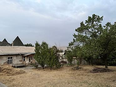 Продажа коттеджей и домов: Продается дом с общей площадью 12 сот. Территория дома 10 сотик и — 3