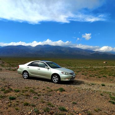 таиота камри: Toyota Camry: 2006 г., 2.4 л, Автомат, Бензин, Седан