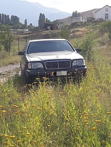 козырек мерс: Mercedes-Benz S-Class: 1994 г., Автомат, Бензин, Седан — 2