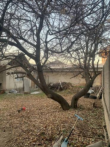 Продажа участков: 4 соток, Для бизнеса, Красная книга — 7