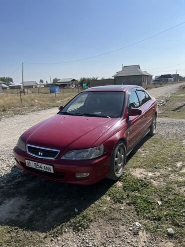 меняю скот на авто: Honda Accord: 2002 г., 1.8 л, Автомат, Бензин, Седан