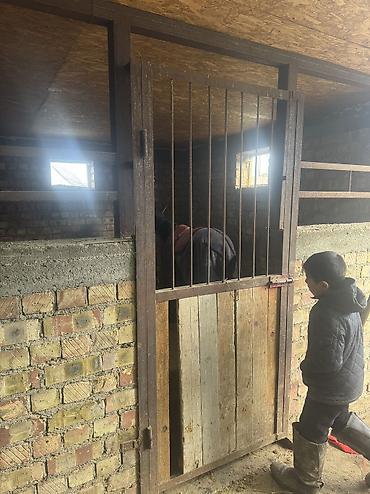 Продажа участков: 16 соток, Для бизнеса — 16