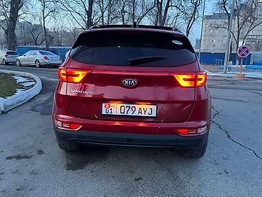 Kia: Kia Sportage: 2019 г., 2.4 л, Автомат, Бензин, Кроссовер — 3